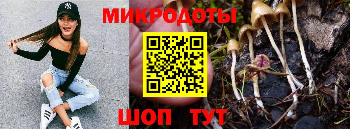 Псилоцибиновые грибы ЛСД  Вход с VPN  Галлюциногенные грибы Cubensis  Клин 